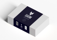 Автомобильная охранная система Garm_2