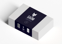 Автомобильная охранная система Garm_3